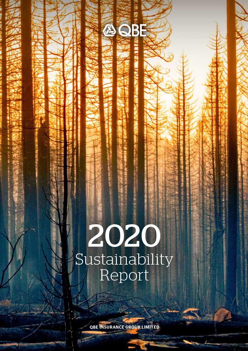 QBE 2020 Sustainability Report